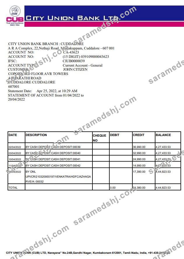 India City Union Bank statement